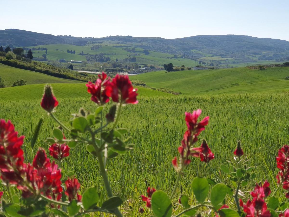 הוילה רוזיניאנו מריטימו Il Giogo Agriturismo מראה חיצוני תמונה