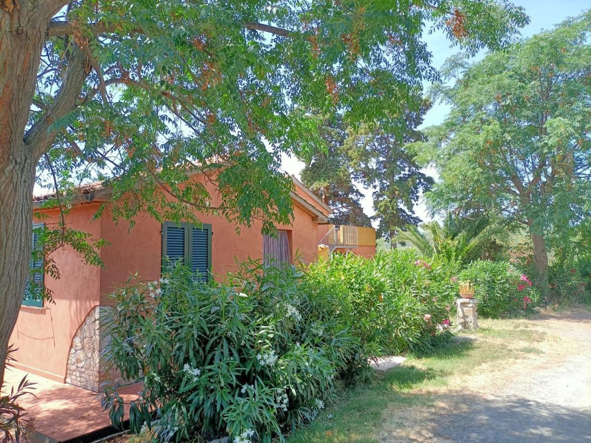 רוזיניאנו מריטימו Il Giogo Agriturismo מראה חיצוני תמונה