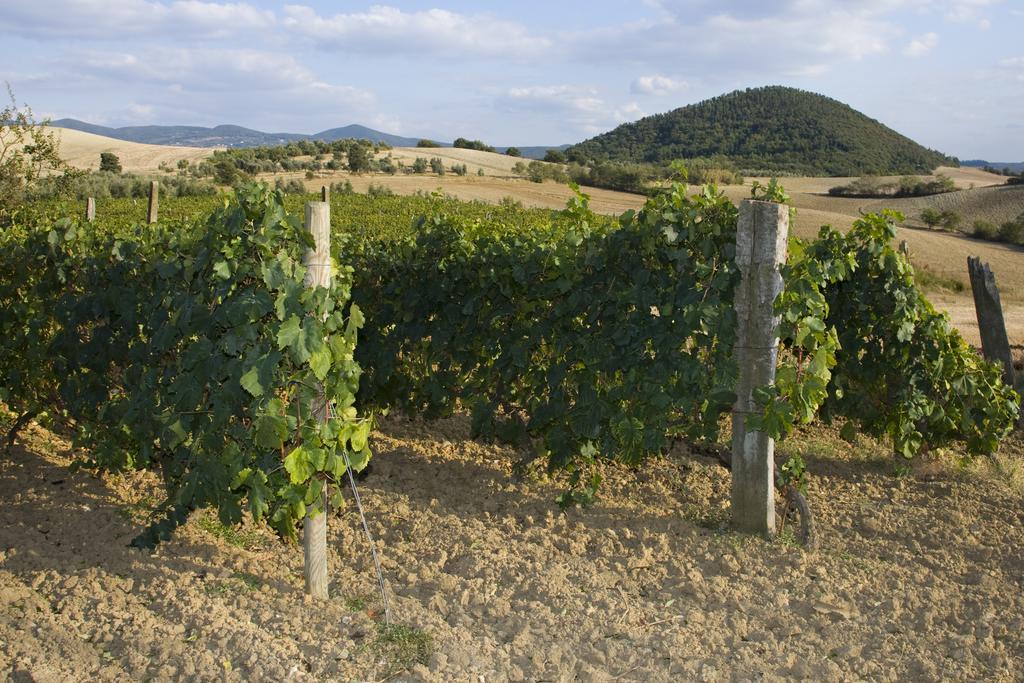 הוילה רוזיניאנו מריטימו Il Giogo Agriturismo מראה חיצוני תמונה