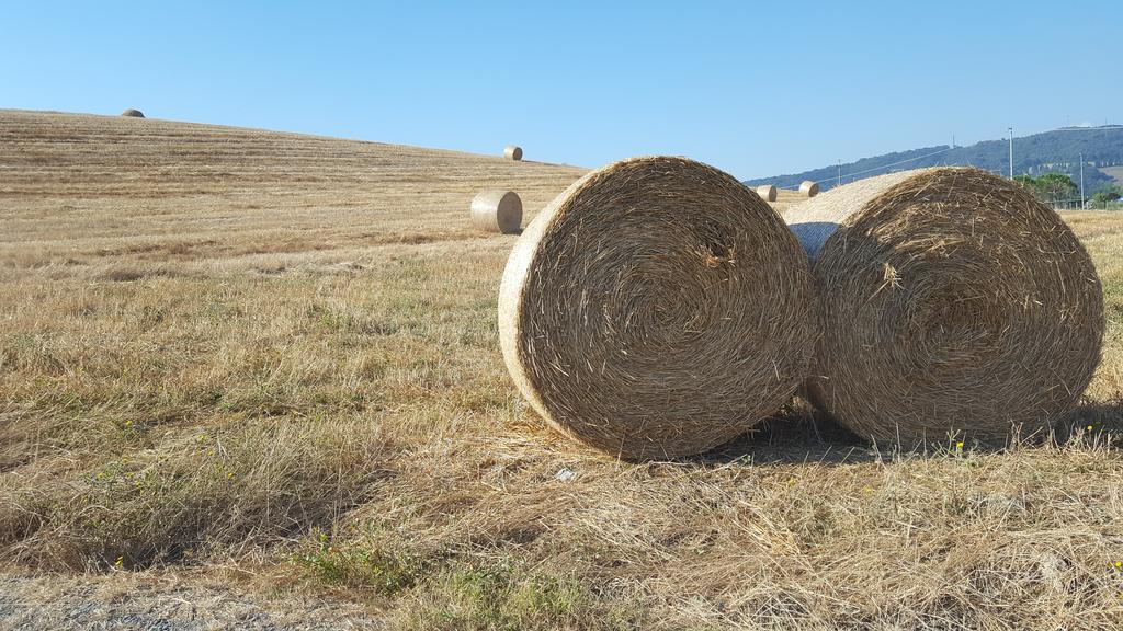 הוילה רוזיניאנו מריטימו Il Giogo Agriturismo מראה חיצוני תמונה