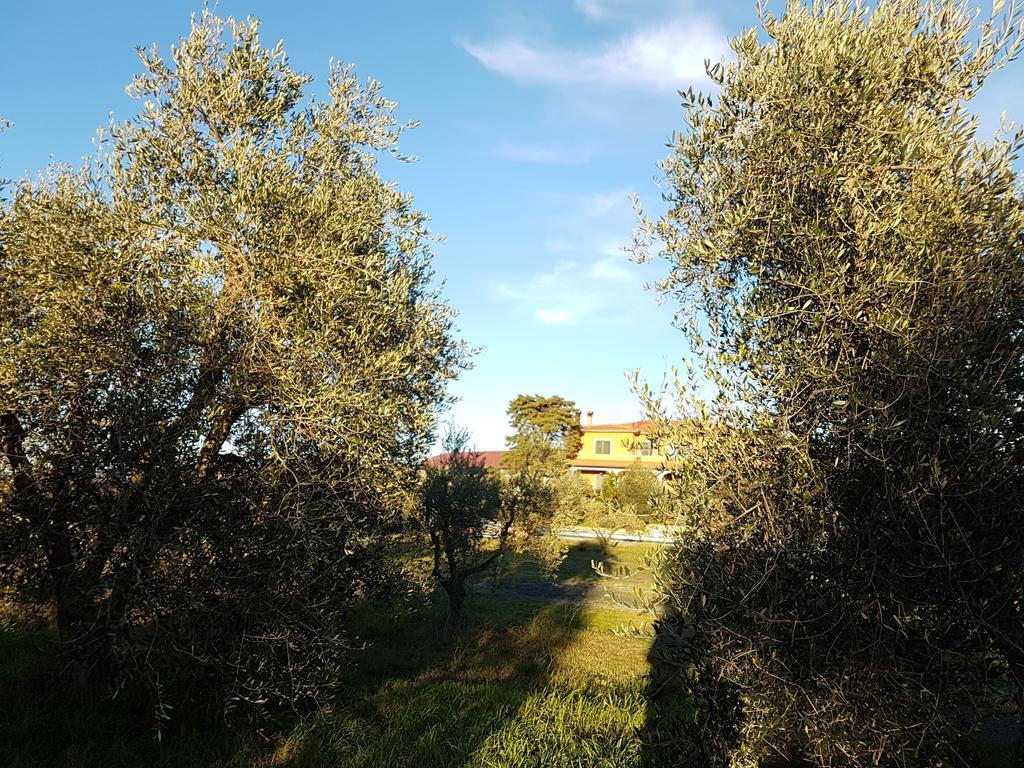 רוזיניאנו מריטימו Il Giogo Agriturismo מראה חיצוני תמונה