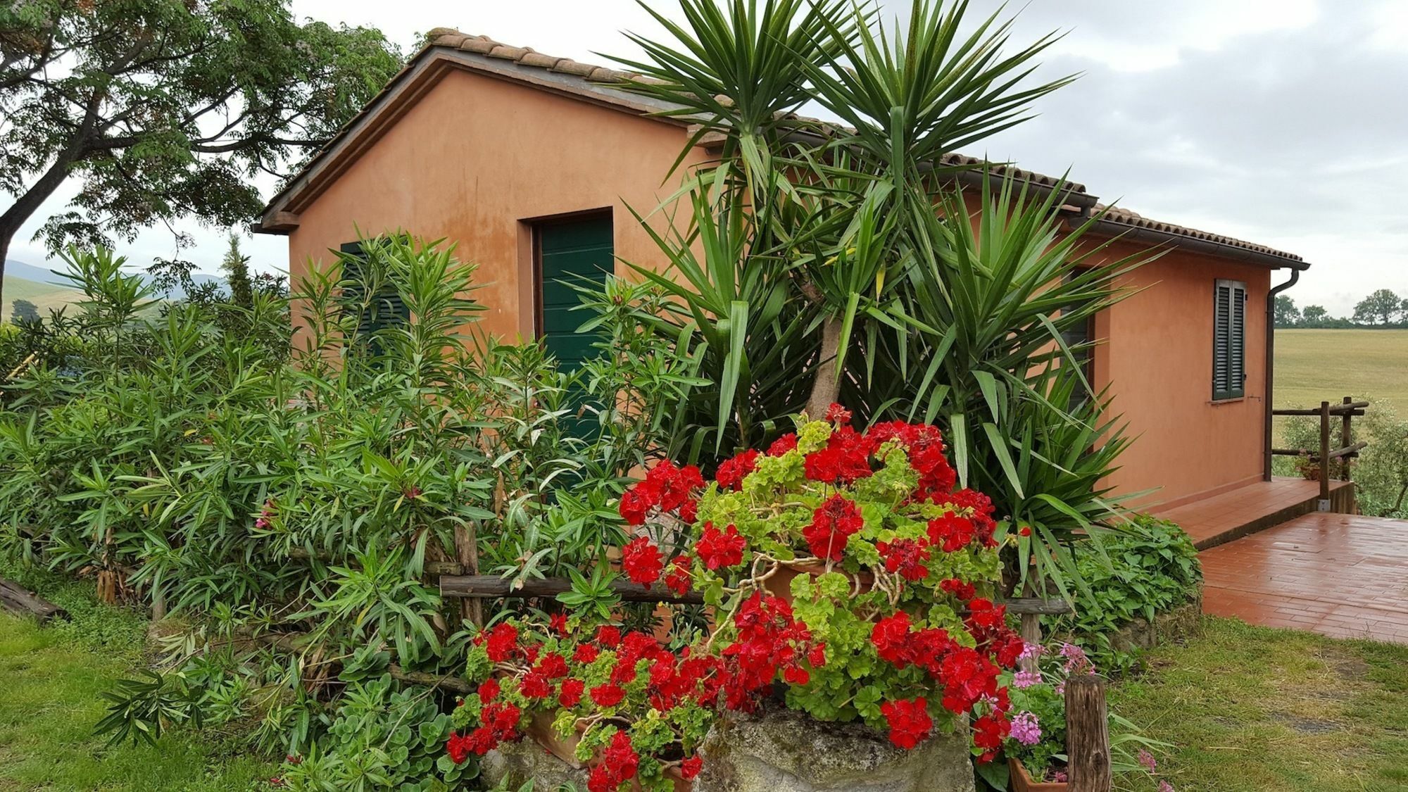 רוזיניאנו מריטימו Il Giogo Agriturismo מראה חיצוני תמונה